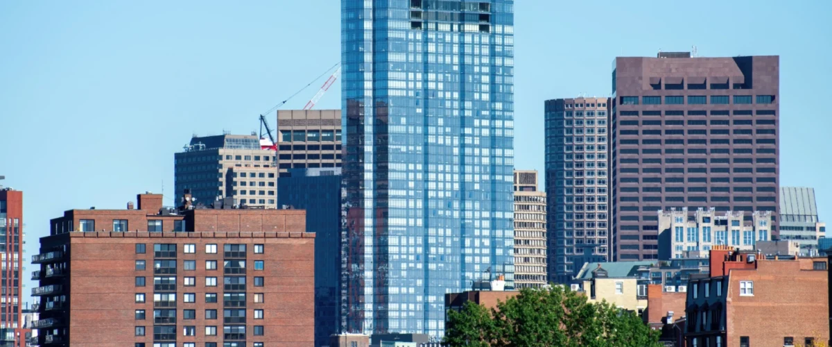 sunny developer_dummy (2)